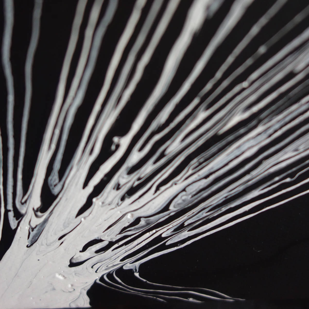 Acrlic Reeds Reeds - By Ruben - Acrylic Flow Art - Pretoria